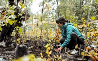 JUSTNature Projekt - Százhold park megnyitó