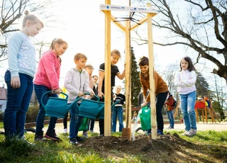 Zöldülő Szombathely - elindult a közösségi faültetés program