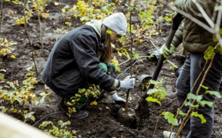 JUSTNature Projekt - Százhold park megnyitó