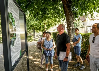 Zöld fejlesztések a Dési Huber István Általános Iskolában