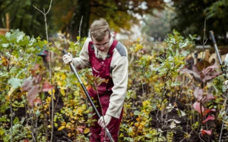 JUSTNature Projekt - Százhold park megnyitó