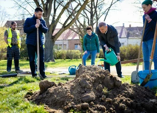 Zöldülő Szombathely - elindult a közösségi faültetés program