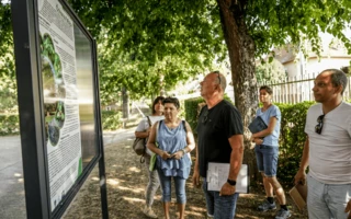 Zöld fejlesztések a Dési Huber István Általános Iskolában