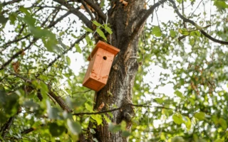 Zöld fejlesztések a Dési Huber István Általános Iskolában