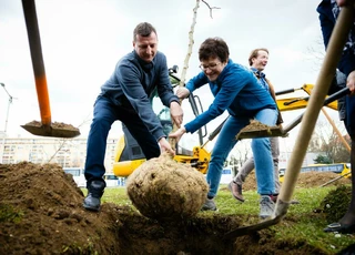 Zöldülő Szombathely - elindult a közösségi faültetés program