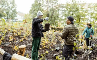 JUSTNature Projekt - Százhold park megnyitó