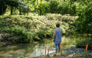 JUSTNature Projekt - Kivitelezés a Százhold Parkban