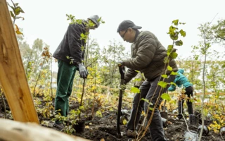 JUSTNature Projekt - Százhold park megnyitó