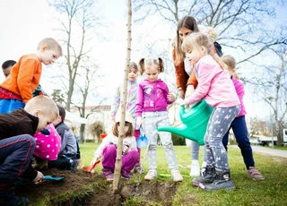 Zöldülő Szombathely - elindult a közösségi faültetés program