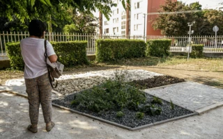 Zöld fejlesztések a Dési Huber István Általános Iskolában