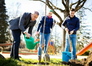 Zöldülő Szombathely - elindult a közösségi faültetés program